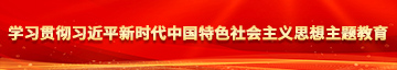 欧美老妇黄片免费视学习贯彻习近平新时代中国特色社会主义思想主题教育